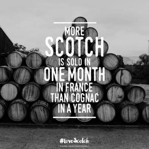 scotch