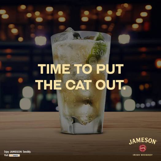 jameson cat out