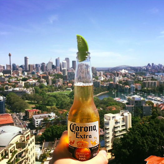 corona view tw jan 16