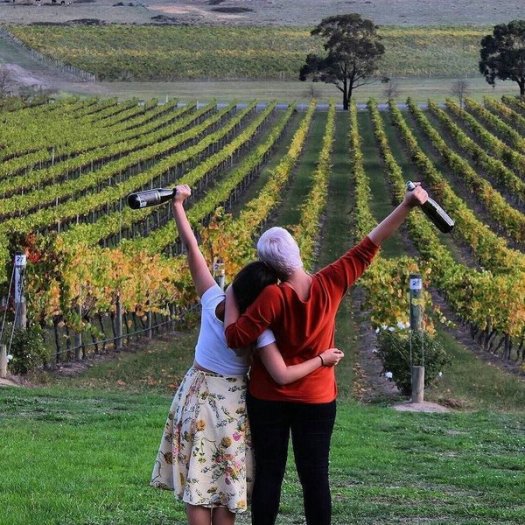 de bort bestie tw apr 16