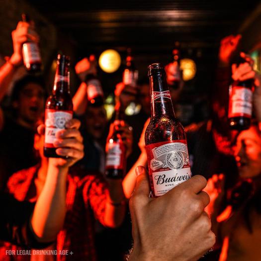 13167277_635284509959306_1114122272_n