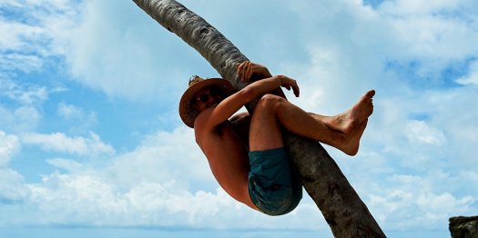 corona vantage tw 14716