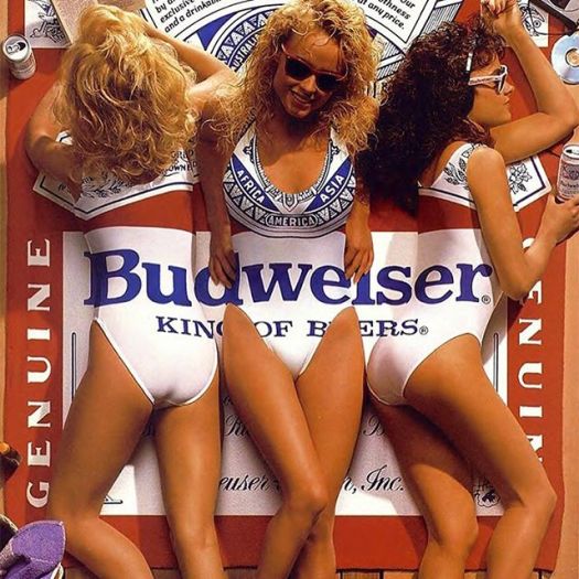 13722123_303955699953106_1526403253_n