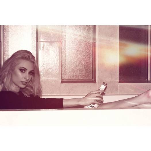 15276753_942042489262876_4342461765913673728_n