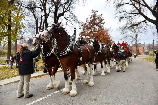 bud-clydes-colum-fb-91216