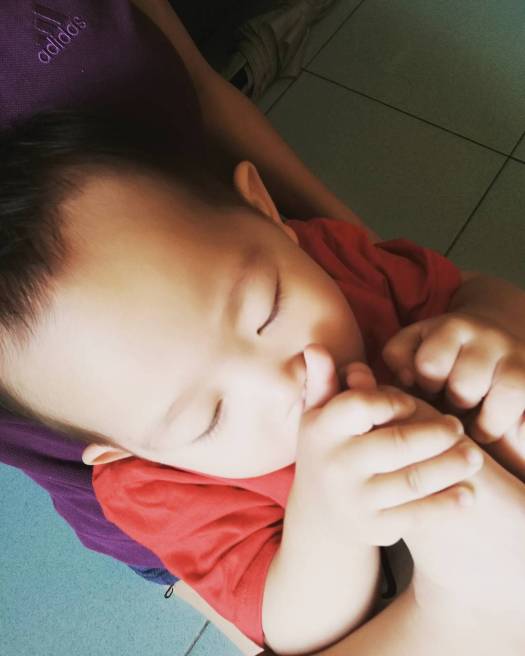 16464826_258066324630137_3554533028866818048_n