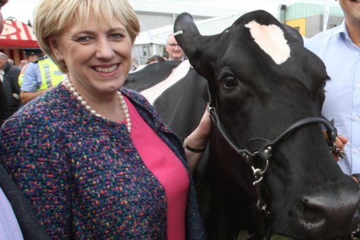 diageo minister humphreys