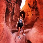 absibee's profile picture